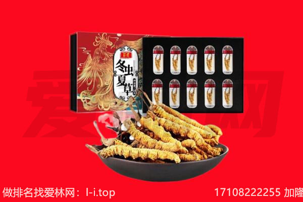 榆林靖边县回收虫草.jpg